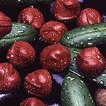 Sage Design Group Food and Commercial Photography - Chocolate - Annette Sage, CEO - Photographer - Still Life - Studio Photography - Commercial Photographer - Product Photography