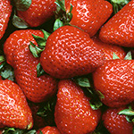 Sage Design Group Food Photography - Strawberries - Annette Sage, CEO - Photographer - Still Life - Studio Photography - Commercial Photographer - Product Photography