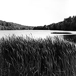 Sage Design Group - Waterfall Landscape Photography - Annette Sage, CEO - Nature Photographer - Waterscapes